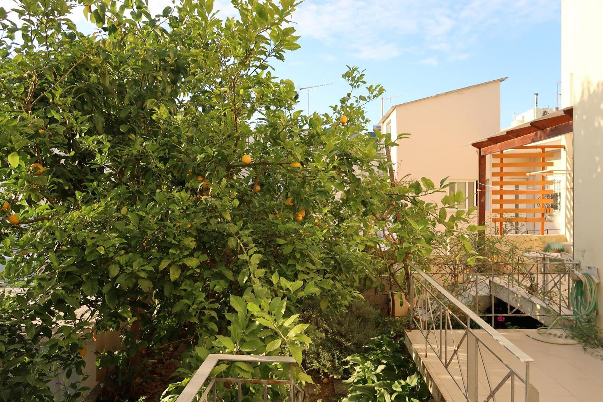 Sunbeam Retreat Chrissi Akti Chania Exterior foto